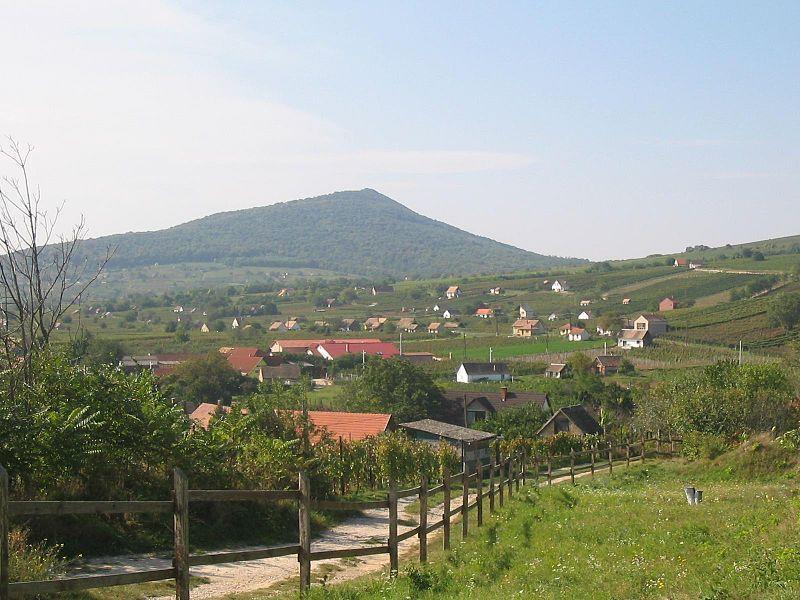 Otto Panzio Villány Pokoj fotografie